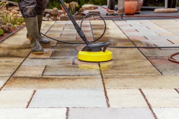Best Animal Enclosure Cleaning  in Coatesville, PA